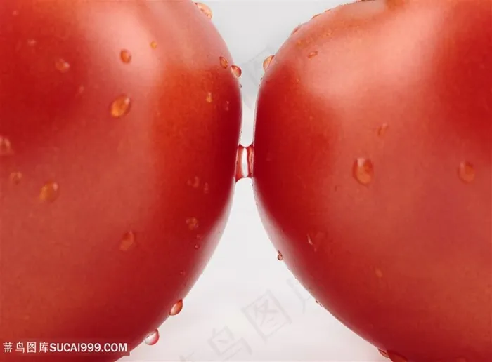 西红柿广告图片