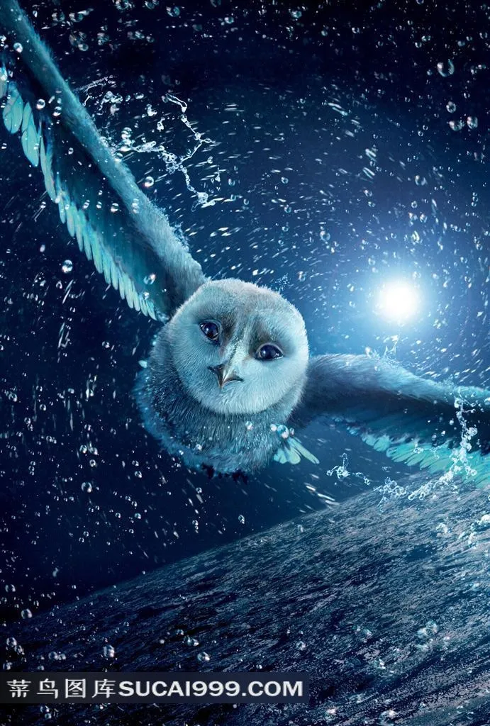 蓝色夜空飞翔的猫头鹰动漫电影海报
