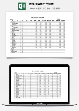 医疗机构资产负债表excel模板预览图