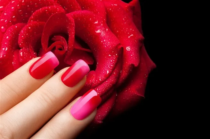 漂亮的红色指甲与红玫瑰美容图片