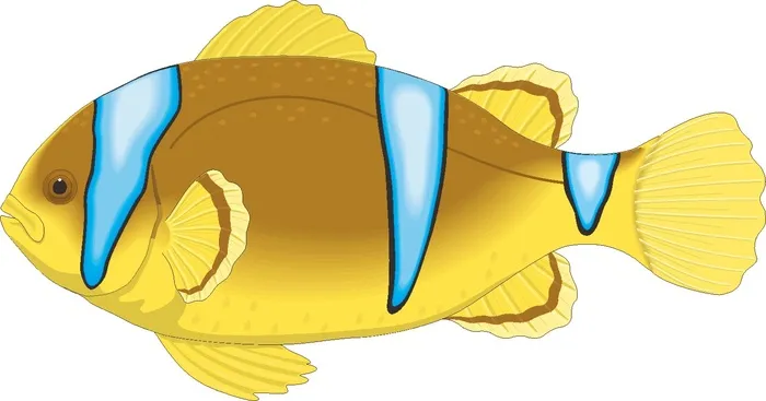 卡通动漫风动画动漫写实素描描摹动物海洋世界鱼7