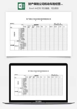 财产保险公司机动车险经营结构情况统计表excel模板预览图