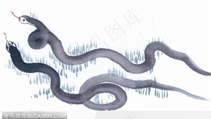 蛇　日本画　水墨画