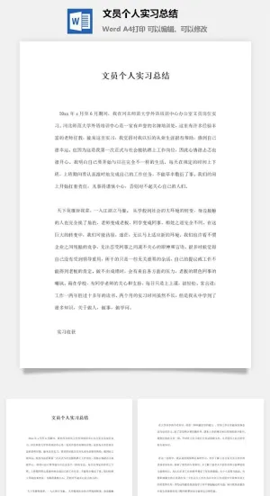 文员个人实习总结预览图
