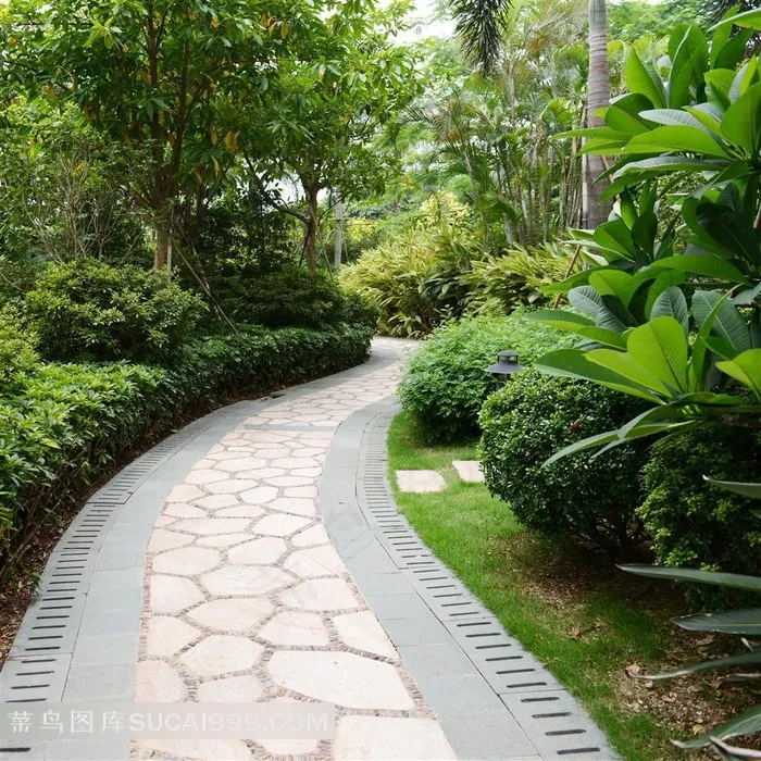 热带植物园里的铺石路摄影图片