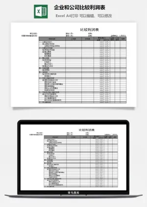 企业和公司比较利润表excel模板预览图