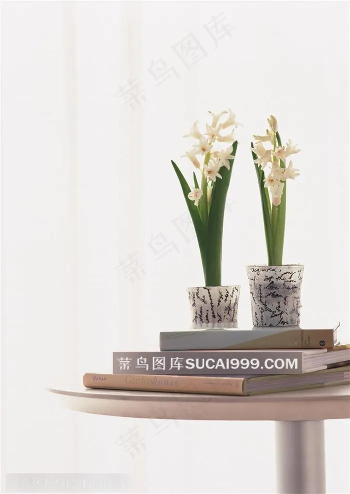 家俱饰品-放在小圆桌上的书籍和两盆水仙花
