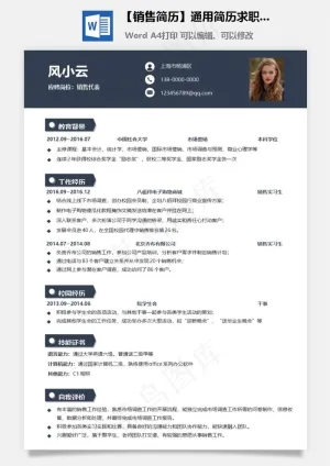 【销售简历】通用简历求职个性应届生简历预览图