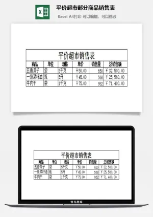 平价超市部分商品销售表excel模板预览图