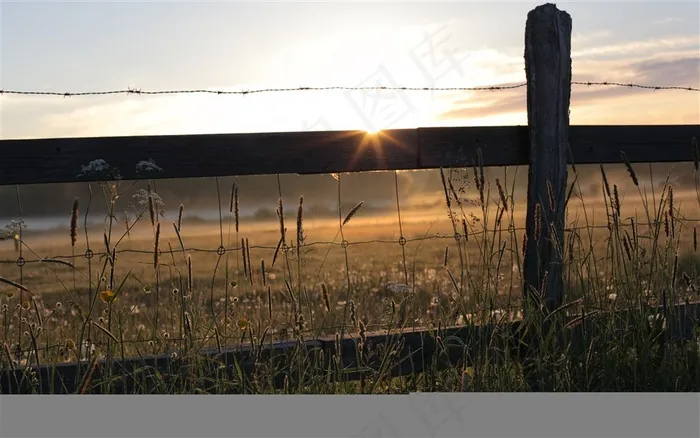 早晨太阳刚升起户外薄薄的雾气野草铁丝网高清图片素材