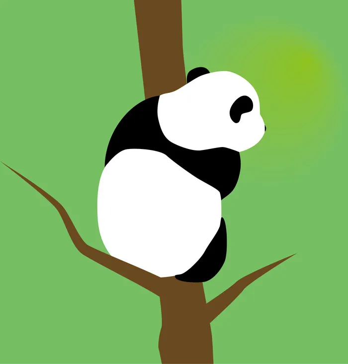 熊猫 可爱 看