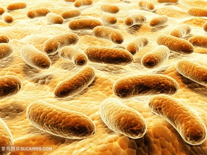 病毒细菌微生物高清医学图片