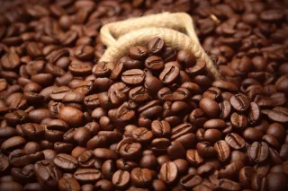 咖啡豆摄影图