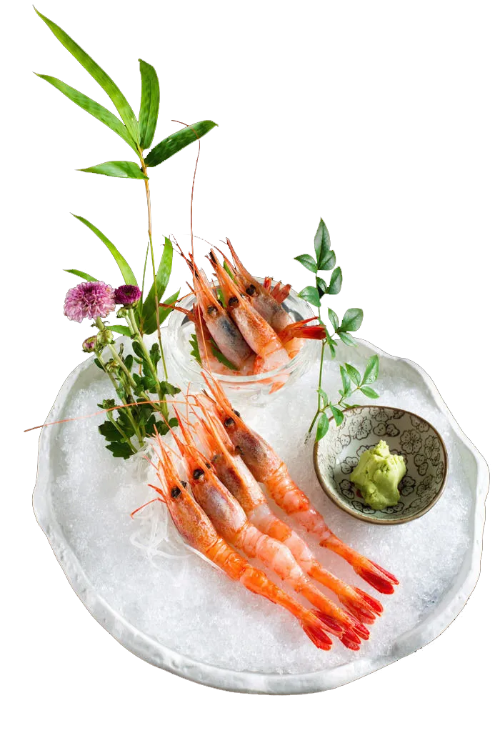 免抠海鲜料理，日式料理，虾刺身，刺身寿司，龙虾刺身
