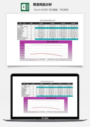 筹资风险分析excel模板预览图