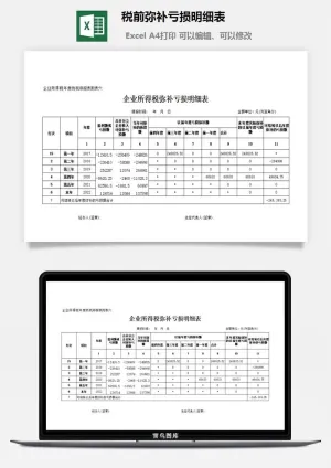 税前弥补亏损明细表excel模板预览图