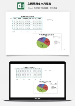 车辆费用支出月报表excel模板预览图