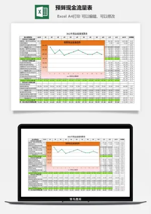 预算现金流量表excel模板预览图
