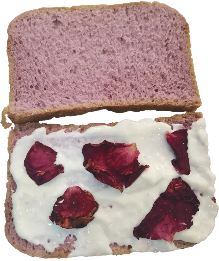 玫瑰无糖酸奶夹心紫米面包紫薯三明治免抠元素实物摄影素材