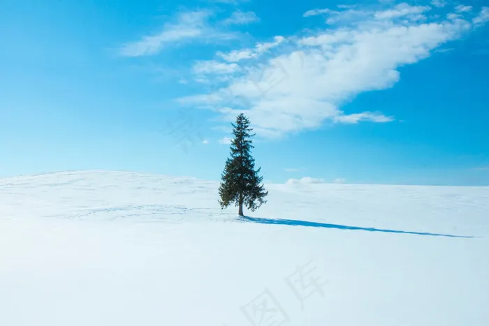 蓝天雪地电脑桌面背景图片