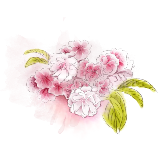 春天浪漫粉红色樱花手绘樱花梅花桃花花朵图片PNG免扣素材