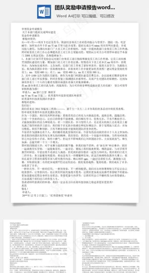 团队奖励申请报告word文档预览图