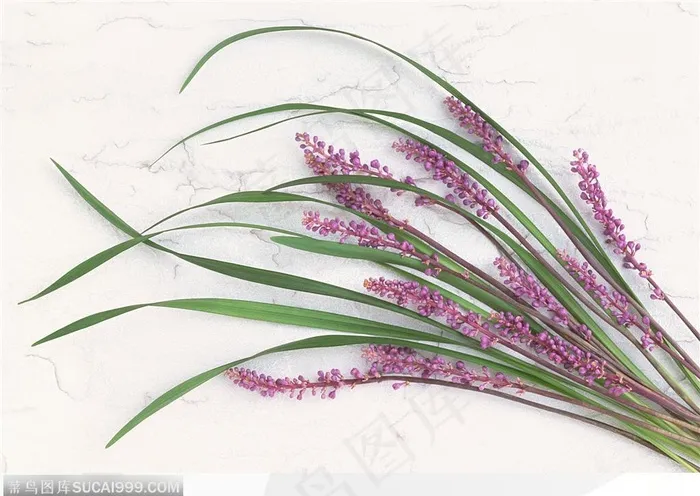 插花艺术-漂亮的紫色兰花