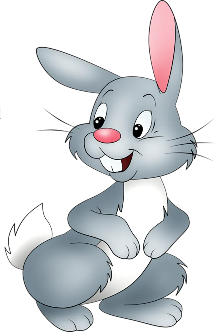 小灰色兔子兔年