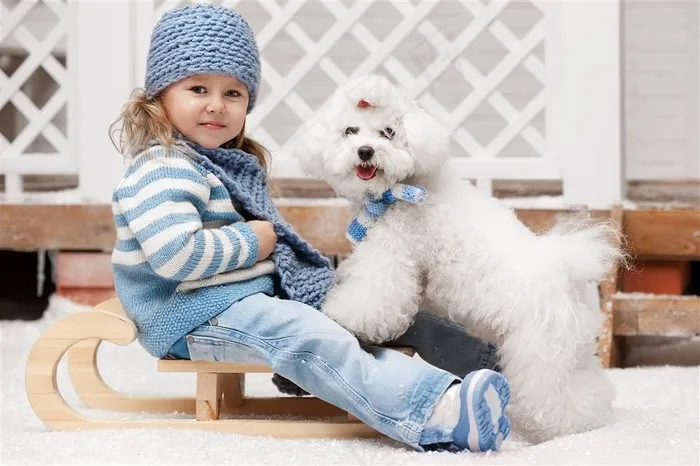 白色小狗和国外女孩儿童图片