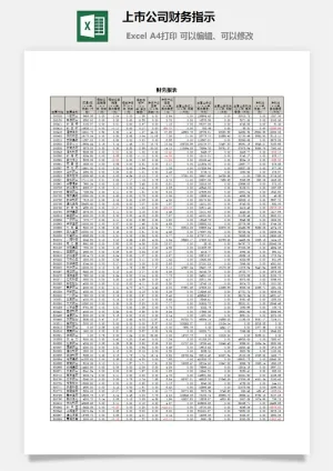 上市公司财务指示excel模板预览图