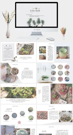 清新 大气 幻灯片模板PPT预览图