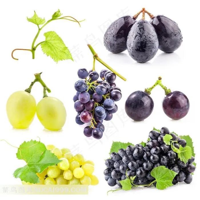 新鲜青葡萄和黑葡萄叶子