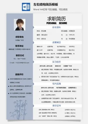 左右结构简历模板预览图