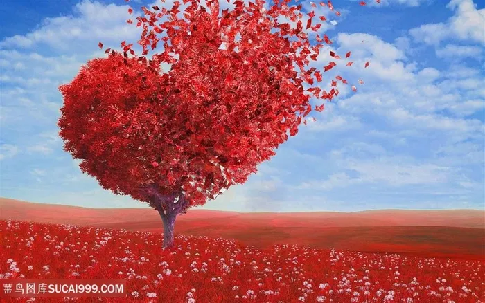 红心形爱情树