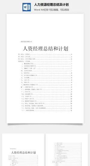 人力资源经理总结及计划word模板预览图