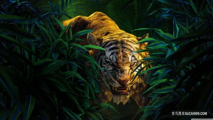 森林中凶猛的老虎高清壁纸