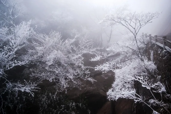安徽黄山雪景树挂图片-第10张