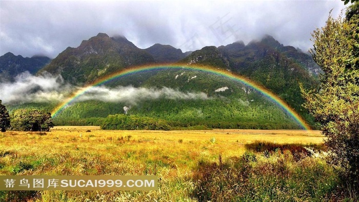雨后彩虹桥自然风景高清桌面壁纸之青青草原 菜鸟图库