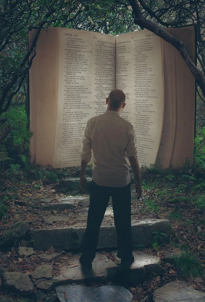 森林中打开的圣经和阶梯上的男士高清图片