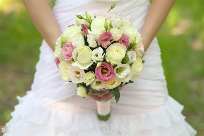 美丽的新娘手捧鲜花高清图片