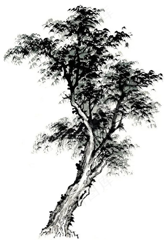 古树艺术绘画图片素材