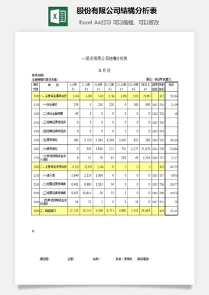 股份有限公司結構分析表excel模板预览图