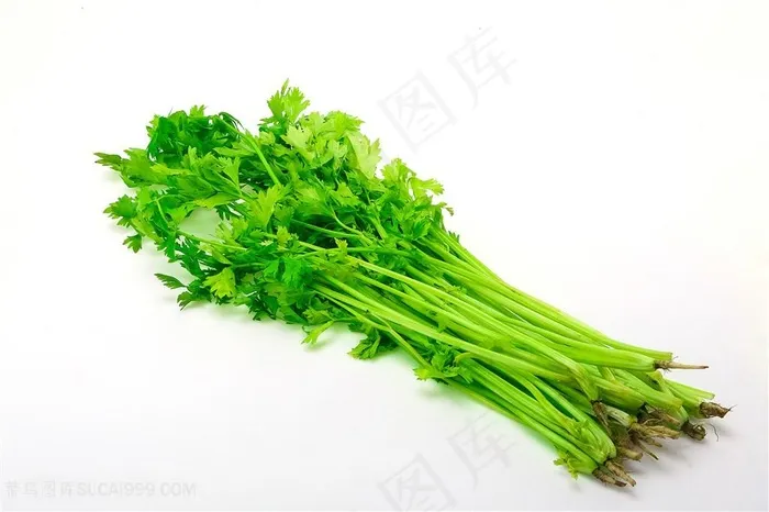 蔬菜芹菜图片