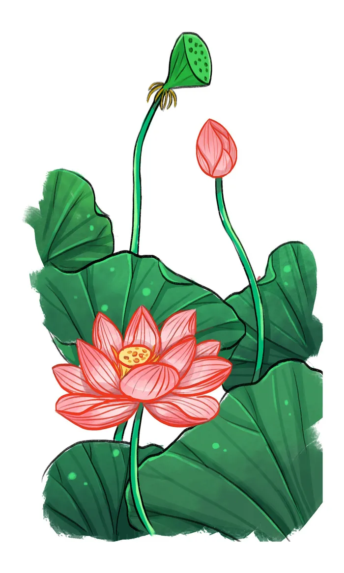 国潮中国风手绘荷花莲花荷叶莲藕植物花卉装饰插画psd设计素材psd模版