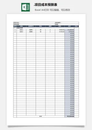 15.项目成本预算表预览图