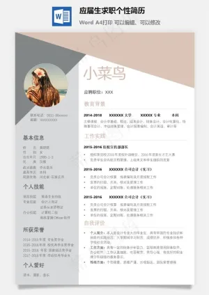应届生求职个性简历预览图