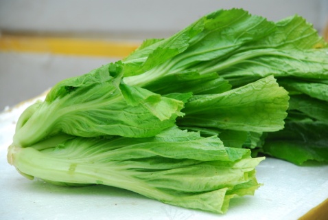 白色蔬菜芥菜头2500x2500dpi300psd模版下载