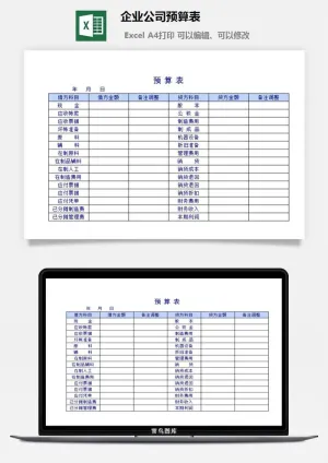 企业公司预算表excel模板预览图