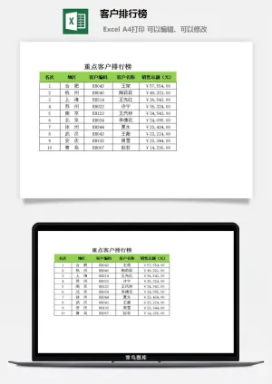 客户排行榜excel模板预览图