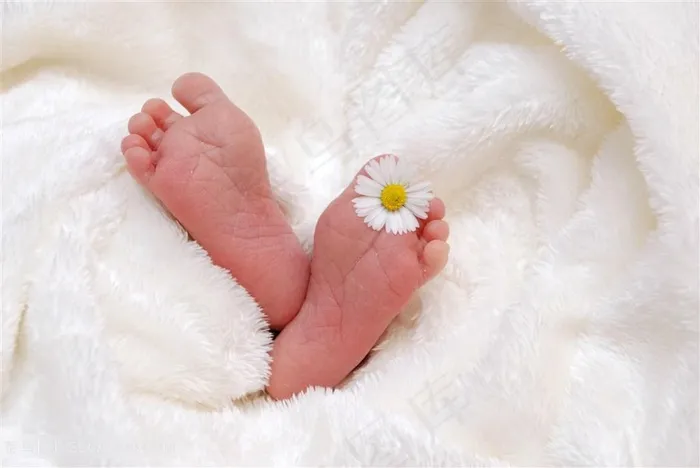 宝宝的小脚丫与鲜花